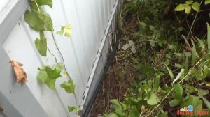 Добавление аналоговых камер в загородном доме. 2 аналоговых камеры по витой паре.