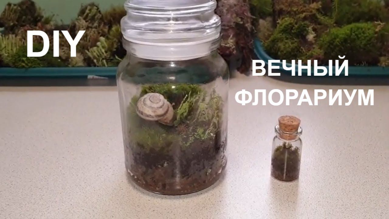 ЛЕСНОЙ ФЛОРАРИУМ ОСЕННЯЯ ПОДЕЛКА /ВЕЧНЫЙ ФЛОРАРИУМ/ЛЕС В БАНКЕ/EWIGES FLORARIUM