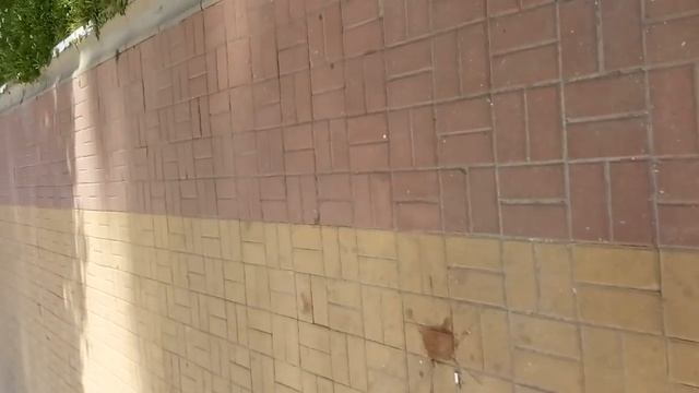 Влог.Гуляю с девушкой. смотреть онлайн