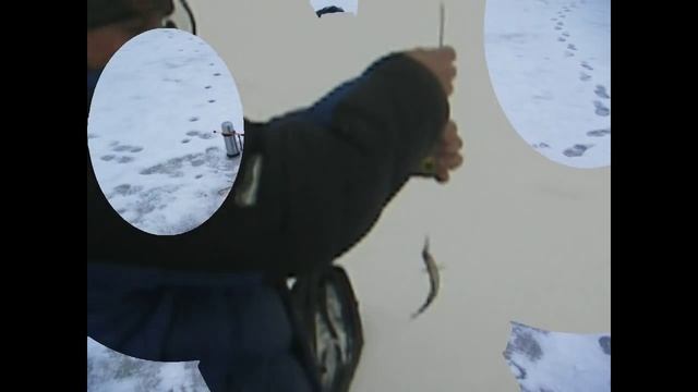 Зимняя рыбалка на Белом море Лов Корюшки смотреть онлайн