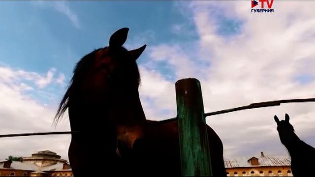Адрес истории. История Хреновскóго и Чесменского конных заводов