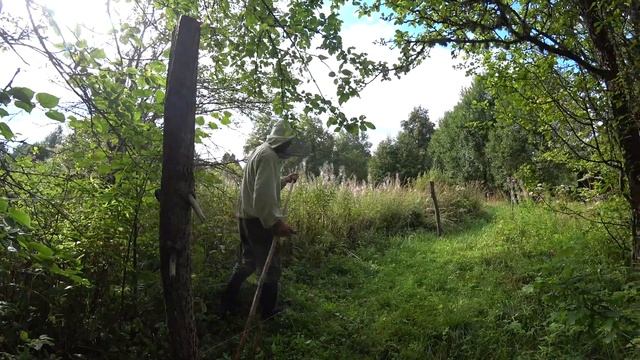 ЗАЩИТА ПЧЕЛ / забор из электропастуха смотреть онлайн