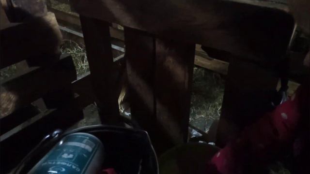 Зеленка радует козел работает настроение хорошее