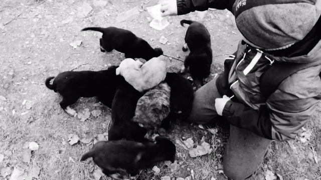 Добрый человек) смотреть онлайн