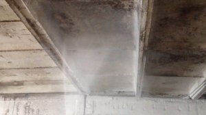 Побелка и Дезинфекция коровника горячей известью.