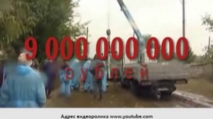 Страшный вирус без прикрас. Африканская чума свиней как она есть