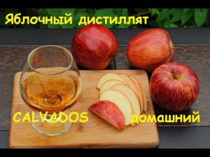 Яблочный дистиллят. Домашний кальвадос..mp4