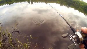 Джеркбейты .  Пулбейт .  Примапки ручной работы" skela".