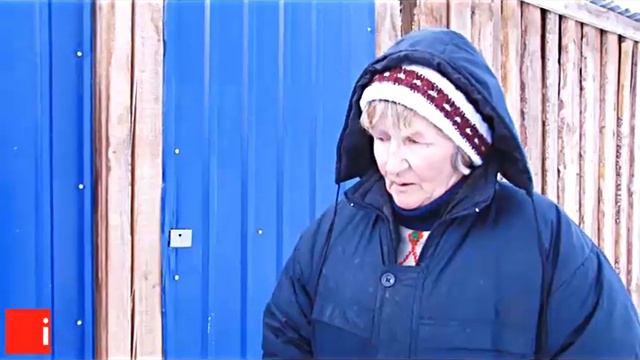 Собачий приют трещит по швам смотреть онлайн