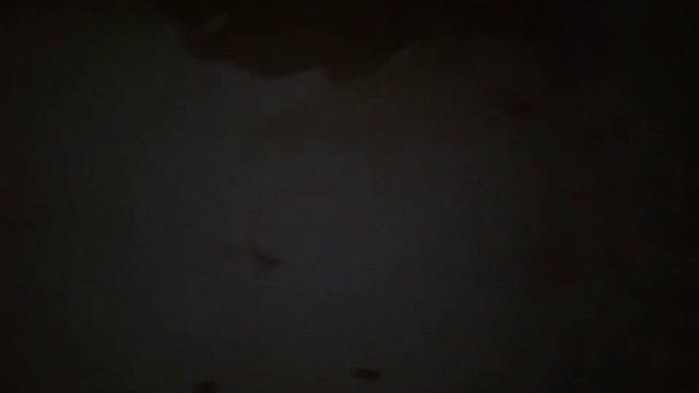 Заброшенный лагерь Искра / Оренбург / Дубки / Здесь кто-нибудь есть?
