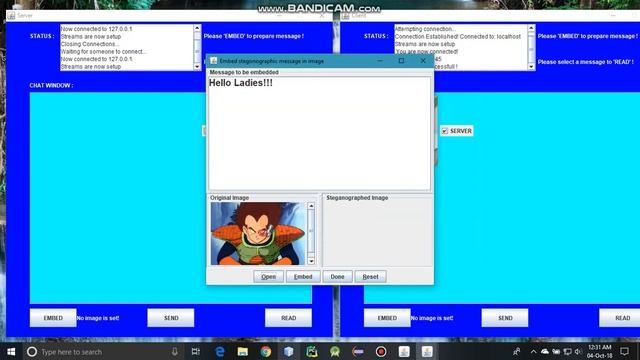 Client Server Image Steganography project using Java Swing | Desktop App смотреть онлайн
