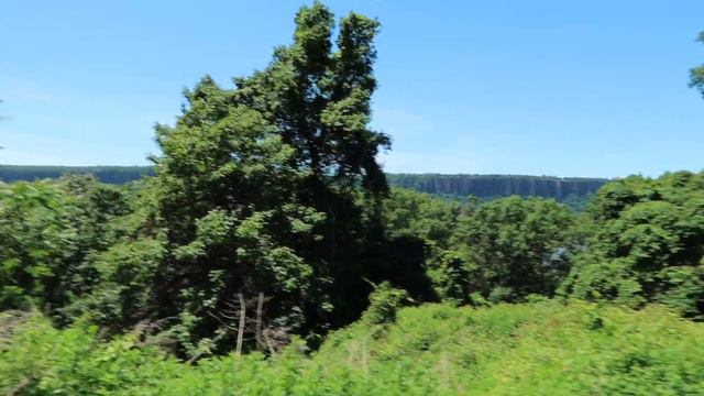 Hiking in New York City | Old Croton Aqueduct Trail смотреть онлайн