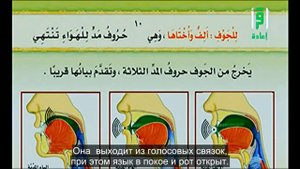 5. Айман Сувайд. Места образования букв мадд (алиф, ي , و).