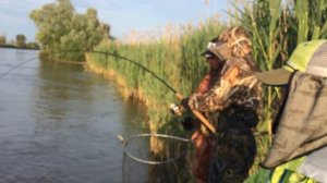 Ловля сома - база отдыха "Застава" (Астрахань)