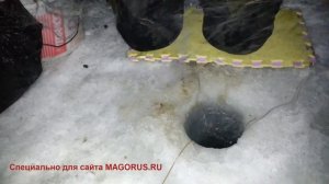 Эксклюзив.Практическое видео постановки сети торпедой.