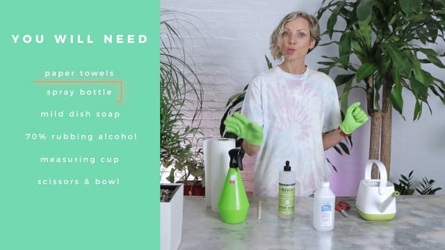 How To Get Rid Of Spider Mites On Houseplants смотреть онлайн