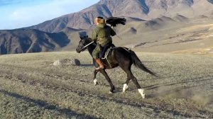 Конная охота с беркутами и тайганами\Horse hunting with eagles and taigans