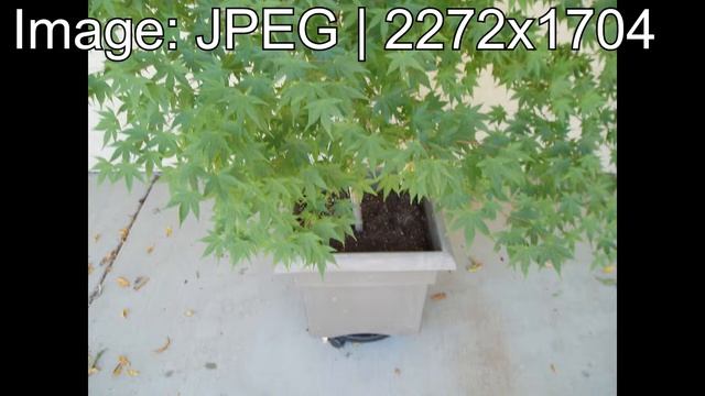 A Small Olympus Digital Camera - Olympus Stylus 410 смотреть онлайн