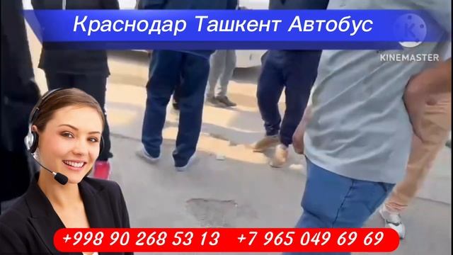 Краснодар Ташкент автобус