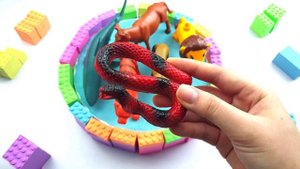 Learn Wild Zoo Animals Rainbow Kinetic Sand Pool Video Toys For Kids