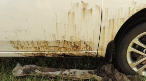 ЧЕМ ОТМЫТЬ БИТУМ с АВТО