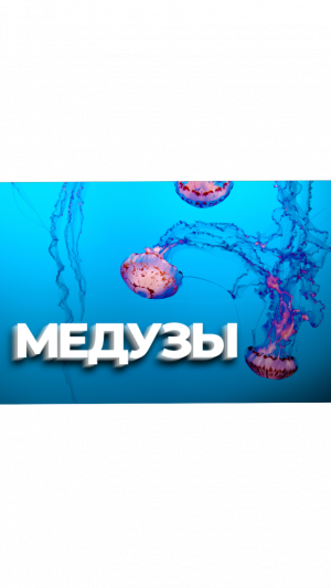 ФАКТЫ о Медузах за 4 минуты 20 фактов