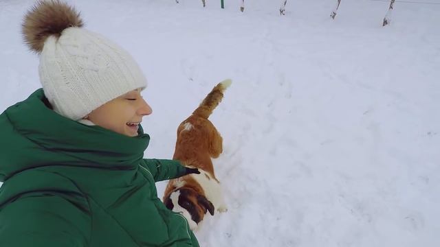 Гуляем с собакой, катаемся на огромной таблетке смотреть онлайн