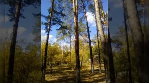 Санаторий Качалинский часть1