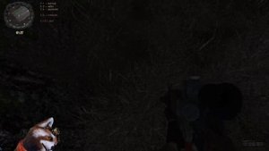 STALKER.ЗОЛОТОЙ ШАР ЗАВЕРШЕНИЕ.(ЯНТАРЬ ЧАСТЬ 1 ОХОТА НА БЮРЕРА)