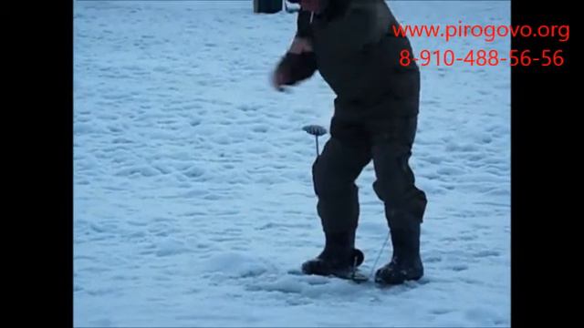 Платная рыбалка в Пирогово (КОРГАШИНО) смотреть онлайн