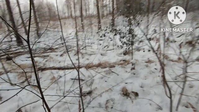 Прокладываем новую дорогу, Буран 640 в деле! Я в восторге от его проходимости