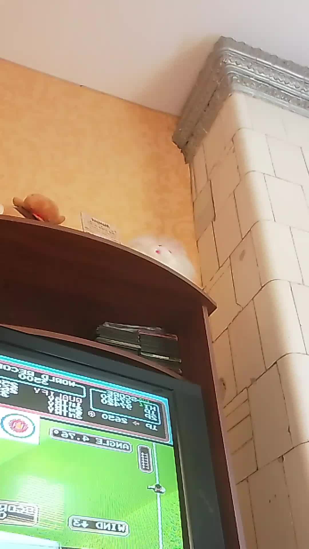 простите збои смотреть онлайн