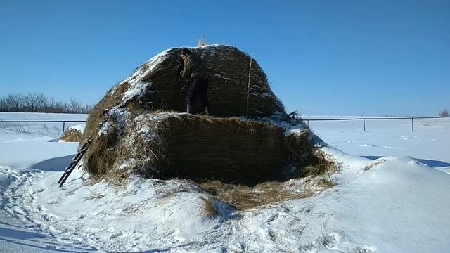 мой сеновал/резка для сена/