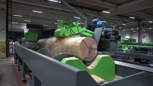 Линия окорки бревен MEBOR SLH 1200. КАК ПРОИСХОДИТ ОКОРКА БРЕВНА - ИДЕАЛЬНО ВСЕ!