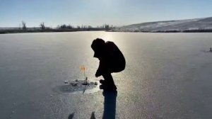 самый приятный момент на рыбалке