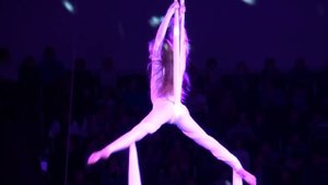 Circus. Aerialists. Цирк. Воздушные гимнасты на полотнах.