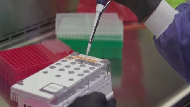Chitin- and N-Acetylglucosamine-Derived Soil Consortia смотреть онлайн
