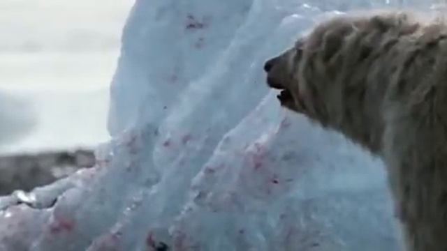 Фортитьюд (сериал 2015 – ...) смотреть онлайн