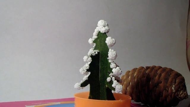 Коралловый лес