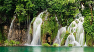 Мощный водопад, щебетание птици ✦ Успокаивающие Звуки ✦ Relax Sleep