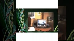 Биология 7-класс  Бир клеткалуулар же эн жонокой жаныбырлар.Амёба жана туфелька жашоо тиричилиги.