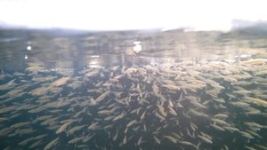 15км Байкальского тракта, залив "Штаны"