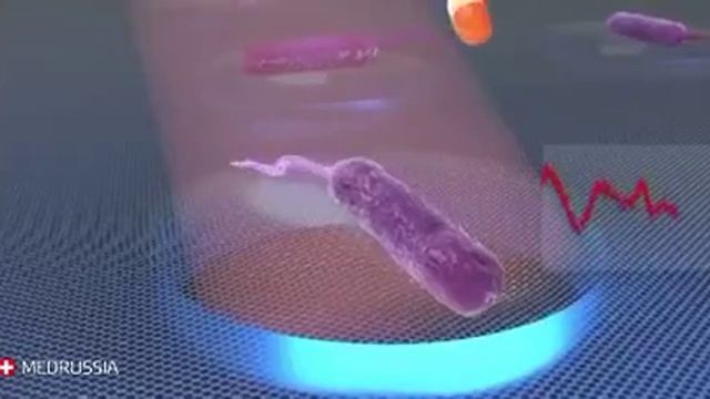 Как звучит бактерия? смотреть онлайн