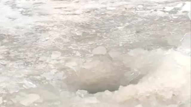 Благовещенские рыбаки оккупировали едва окрепший лёд на ... смотреть онлайн