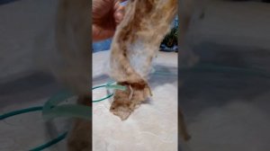 аэролифтный фильтр для аквариума из ничего
