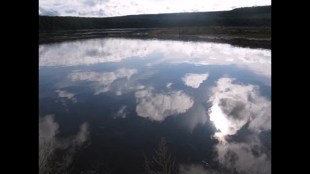 Путешествие в мир природы. КРАСОТА