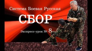 Экспресс-урок № 8 в Системе Боевой Русской «СБОР» по теме «Отвлекающий удар в пах противника».
