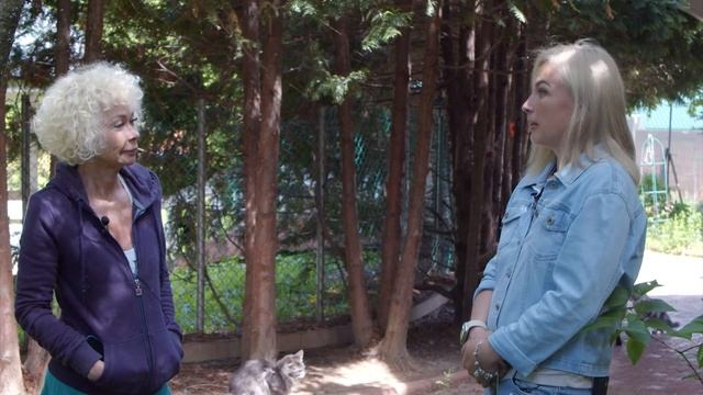 KORWOOD | Питомник мейн-кунов Mainshadow (2022) смотреть онлайн