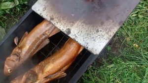 Судак горячего копчения!!!