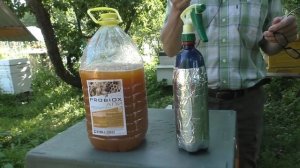 ПЧЁЛЫ ЕСТЬ, а МЁДА нет, в чём причина.